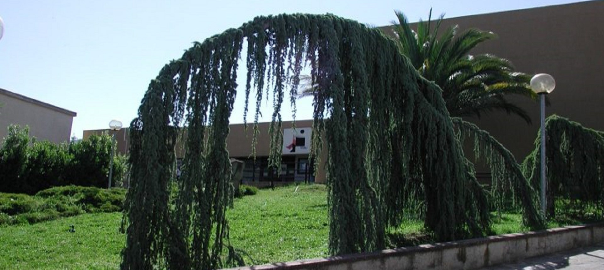 Giardino lato